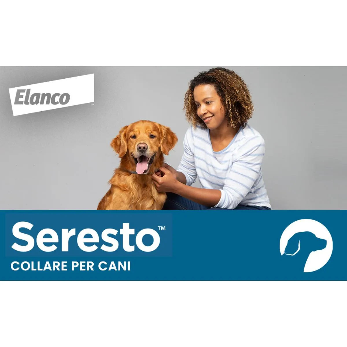 Collare antipulci e antizecche per cani di taglia grande — Protezione fino a 8 mesi