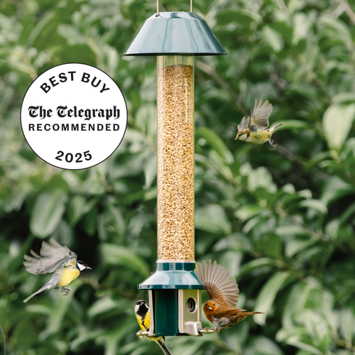 Squirrel Proof Bird Feeder | Metal Hanging Feeder | Weatherproof Seed Feeder