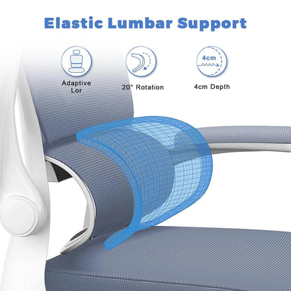 Ergonomic Office Chair with Lumbar Support