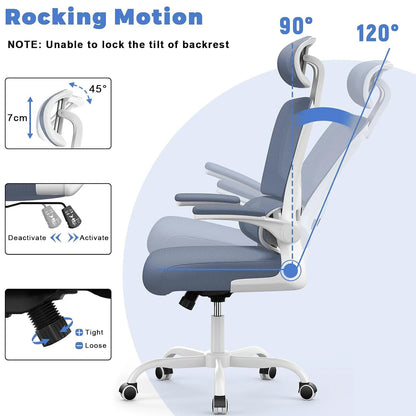 Ergonomic Office Chair with Lumbar Support