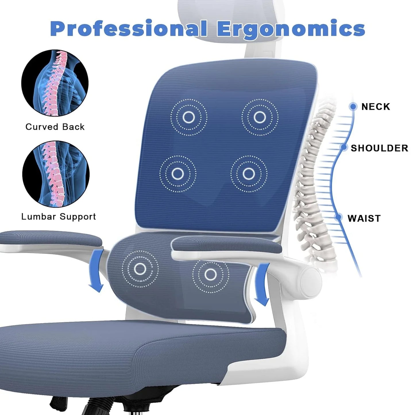 Ergonomic Office Chair with Lumbar Support