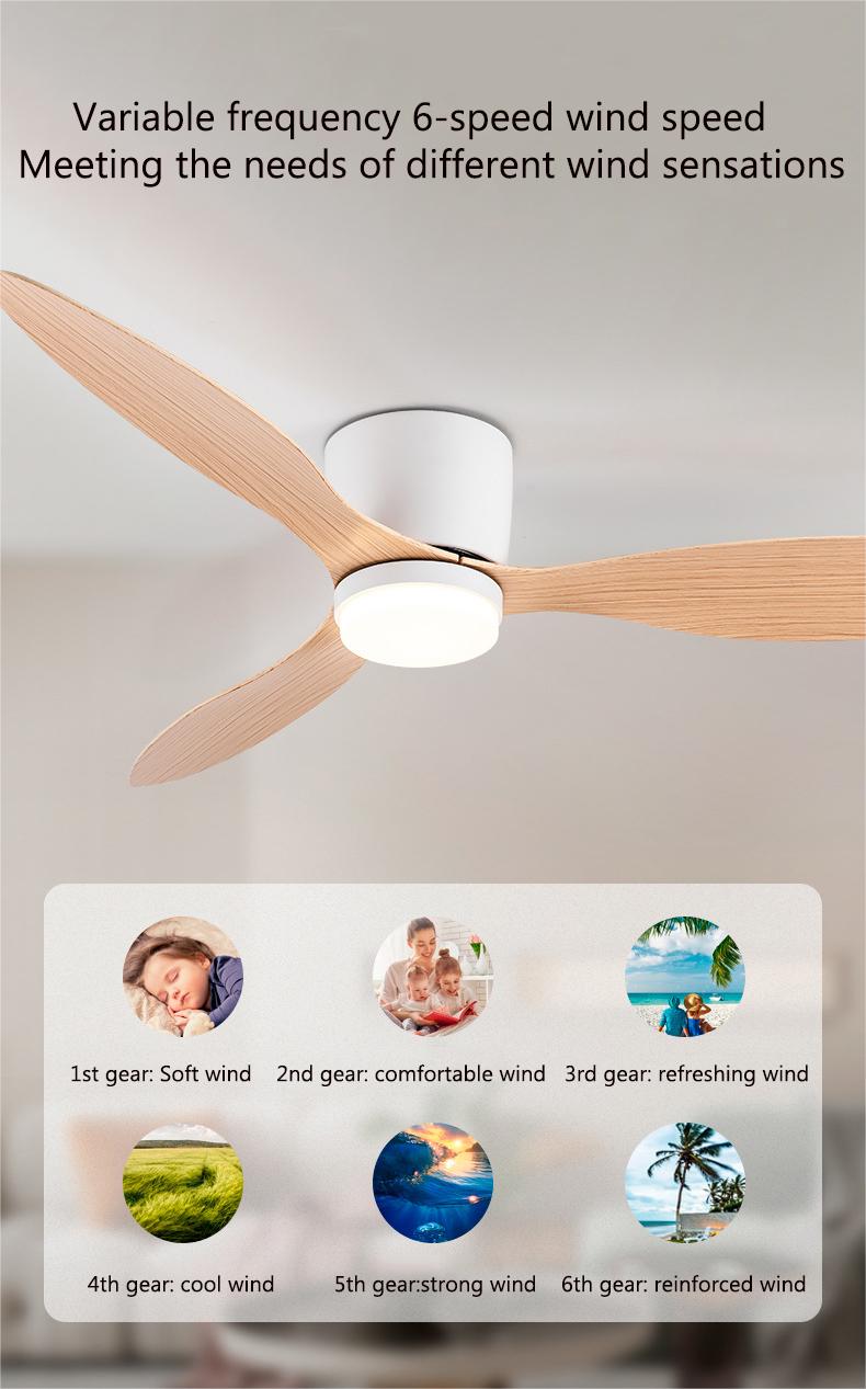 Large Minimalist Ceiling Fan - features