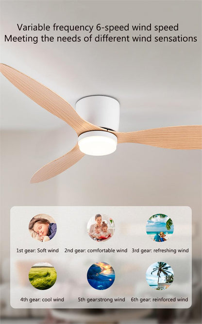 Large Minimalist Ceiling Fan - features