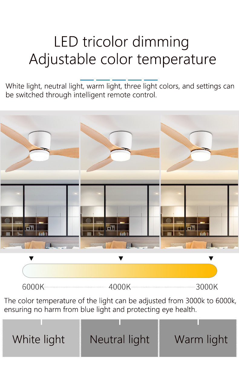 Large Minimalist Ceiling Fan with LED Light and Remote Control