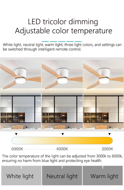Large Minimalist Ceiling Fan with LED Light and Remote Control