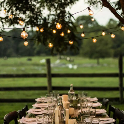 Outdoor LED Festoon String Lights