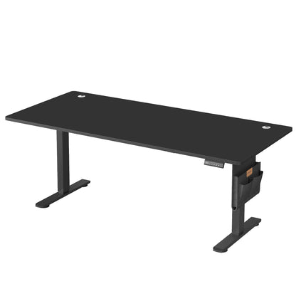 Electric Height Adjustable Standing Desk with Storage Pocket & Hooks, 120cm Workstation for Home Office