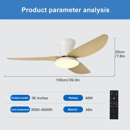 Modern LED Ceiling Fan - features