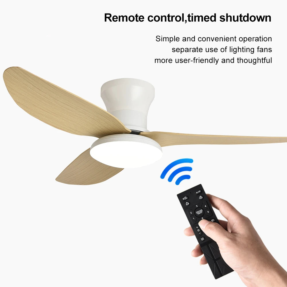 Modern LED Ceiling Fan - remote control