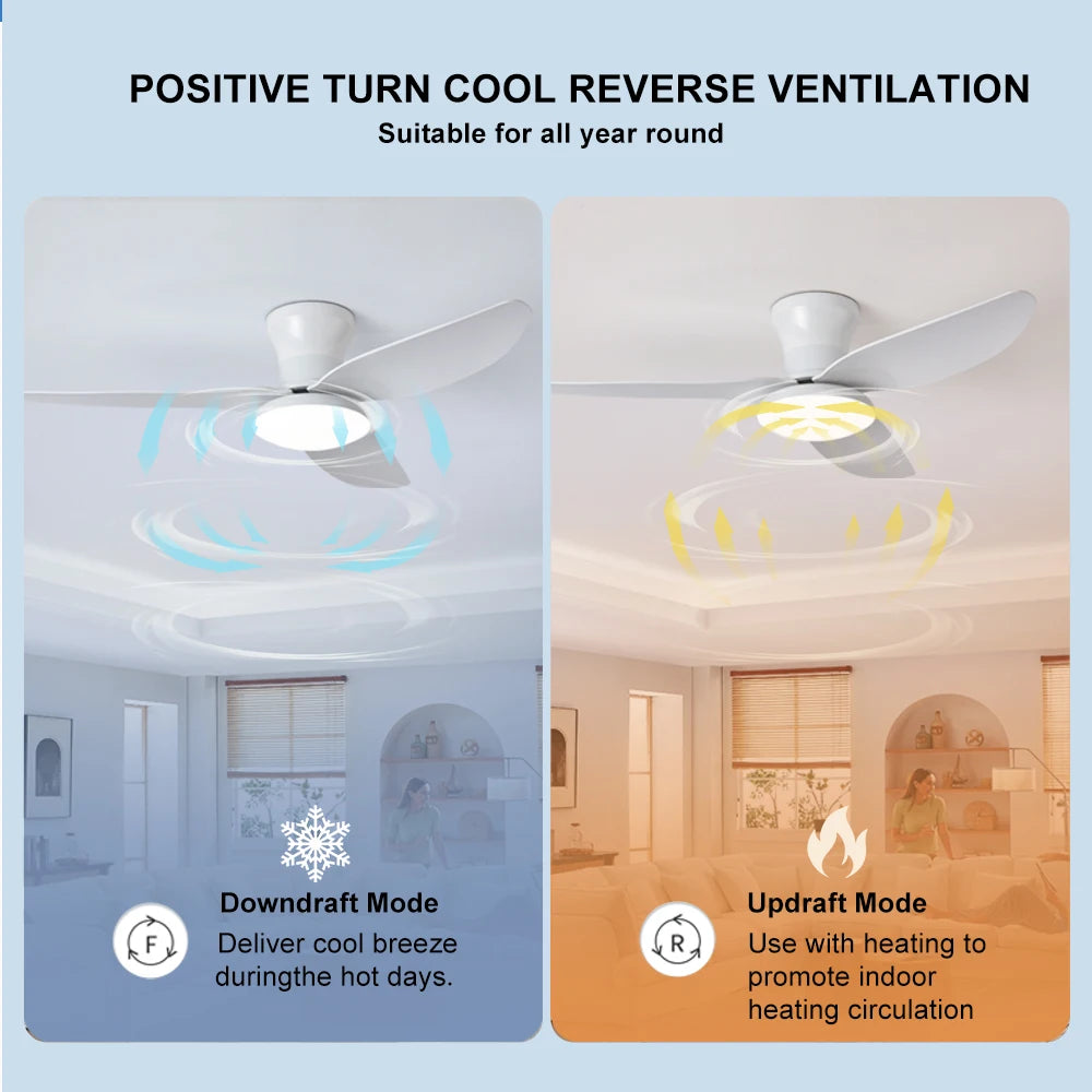 Modern LED Ceiling Fan - LED light on