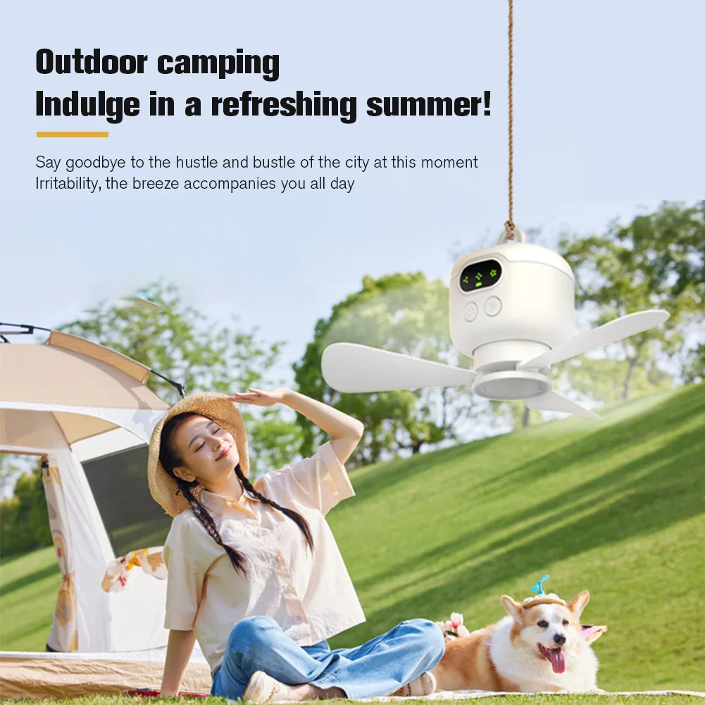 Portable Wireless Ceiling Fan - LED light