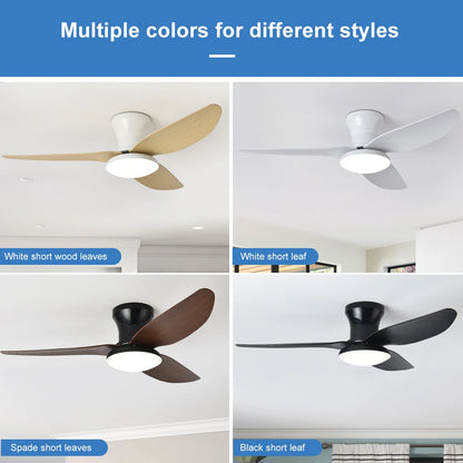 Modern LED Ceiling Fan - installed room