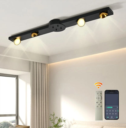 LED Ceiling Light Black 24W Modern Dimmable with Remote Control Lamp 82cm