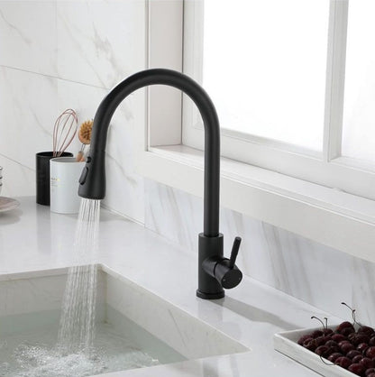 Modern Pull-Down Kitchen Tap | Dual Spray Brass Mixer | Black & Gold Faucet