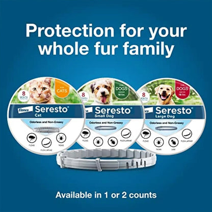 Collare antipulci e antizecche per cani di piccola taglia e cuccioli