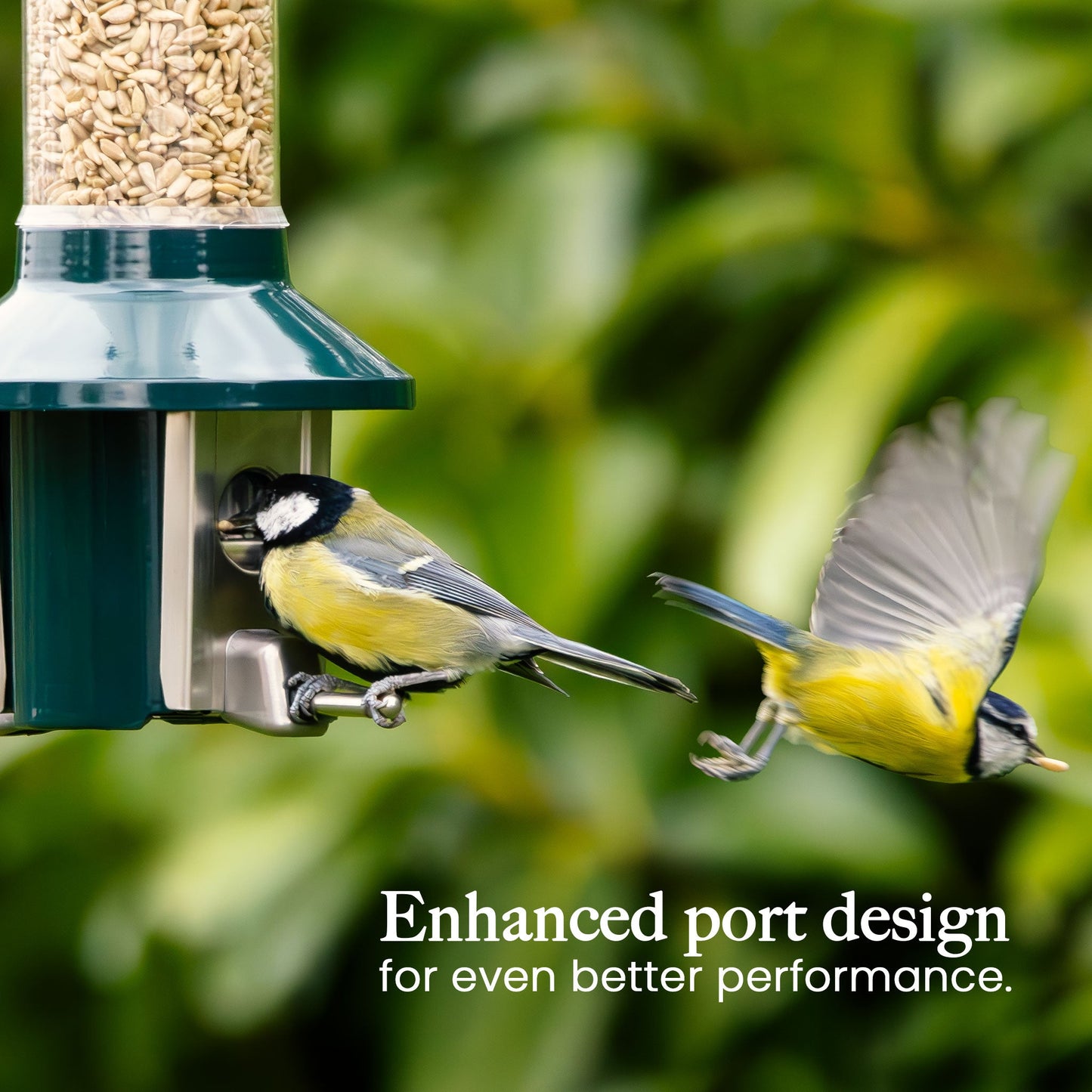 Squirrel Proof Bird Feeder | Metal Hanging Feeder | Weatherproof Seed Feeder