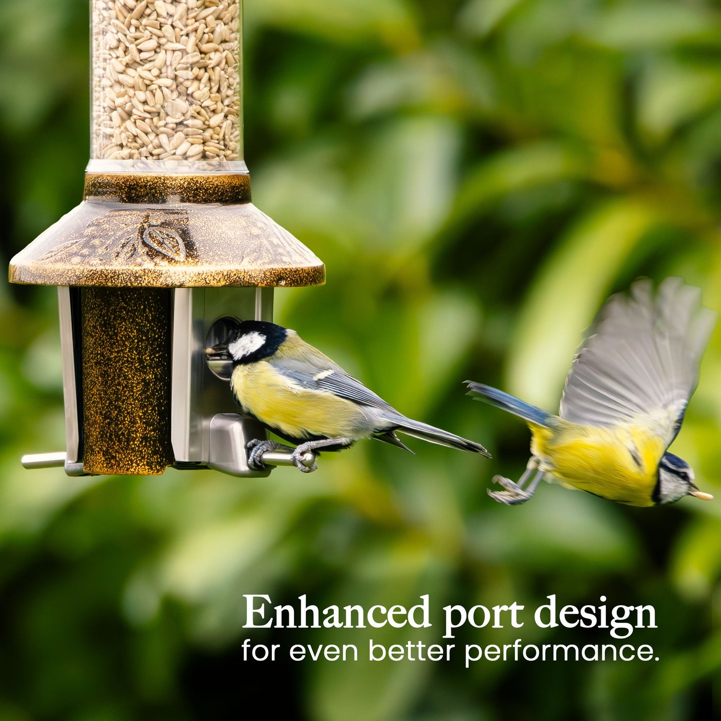 Squirrel Proof Bird Feeder | Metal Hanging Feeder | Weatherproof Seed Feeder