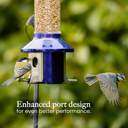 Squirrel Proof Bird Feeder | Metal Hanging Feeder | Weatherproof Seed Feeder