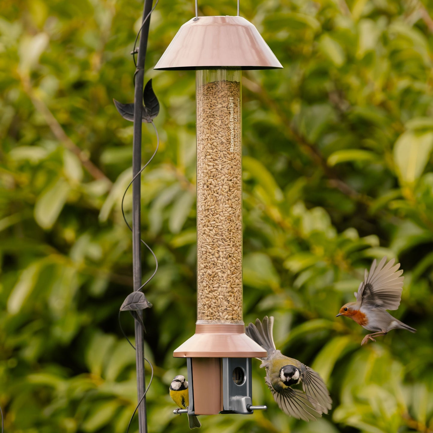 Squirrel Proof Bird Feeder | Metal Hanging Feeder | Weatherproof Seed Feeder
