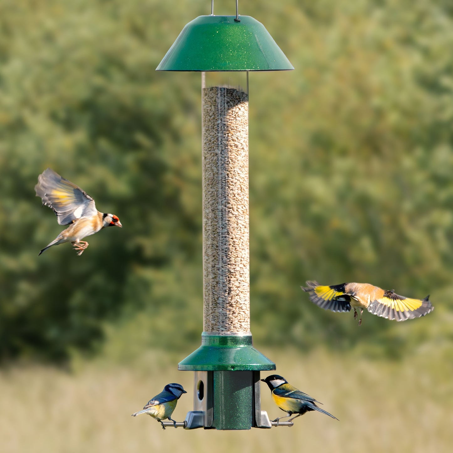 Squirrel Proof Bird Feeder | Metal Hanging Feeder | Weatherproof Seed Feeder