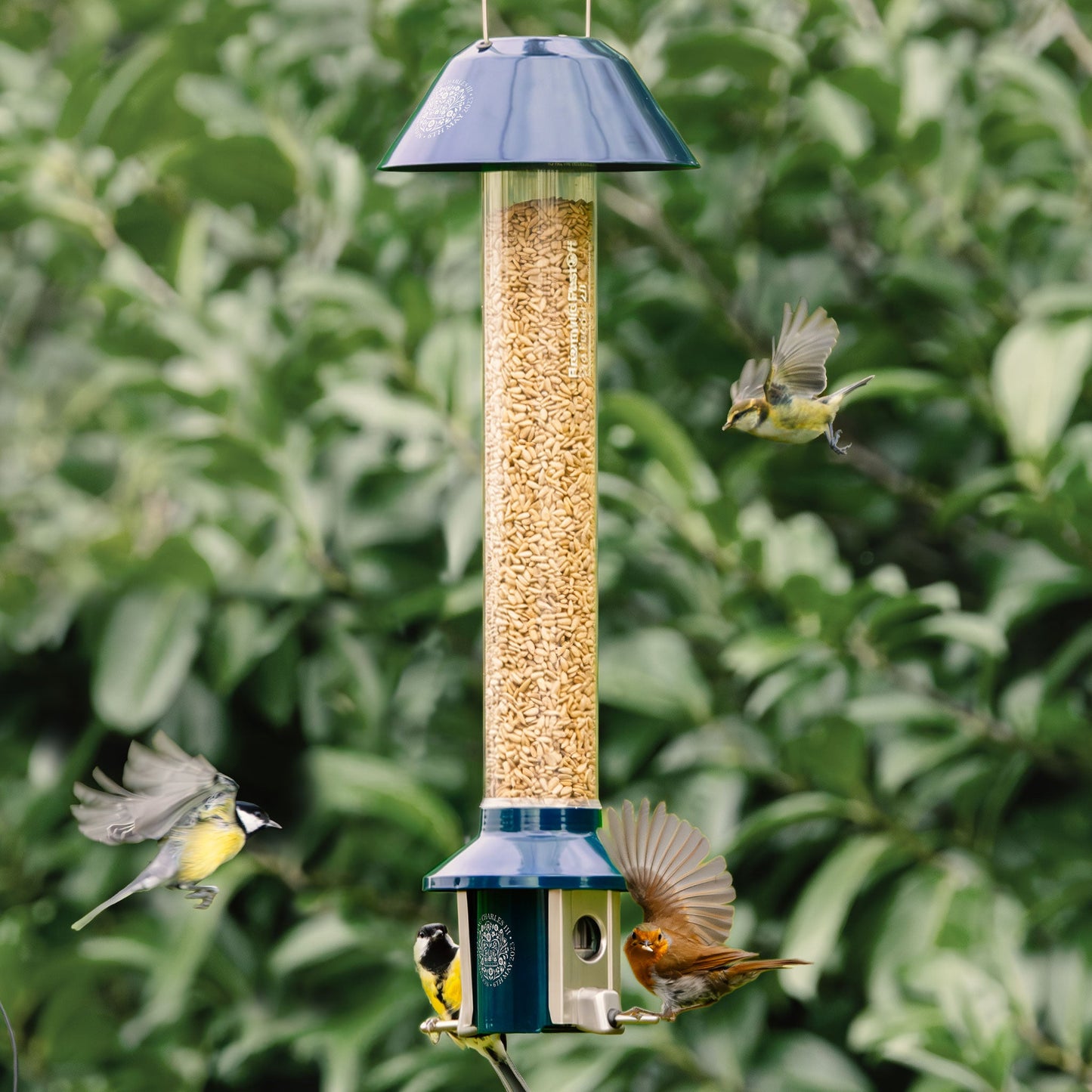 Squirrel Proof Bird Feeder | Metal Hanging Feeder | Weatherproof Seed Feeder