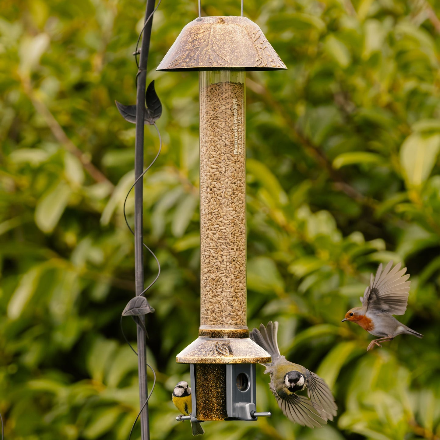 Squirrel Proof Bird Feeder | Metal Hanging Feeder | Weatherproof Seed Feeder