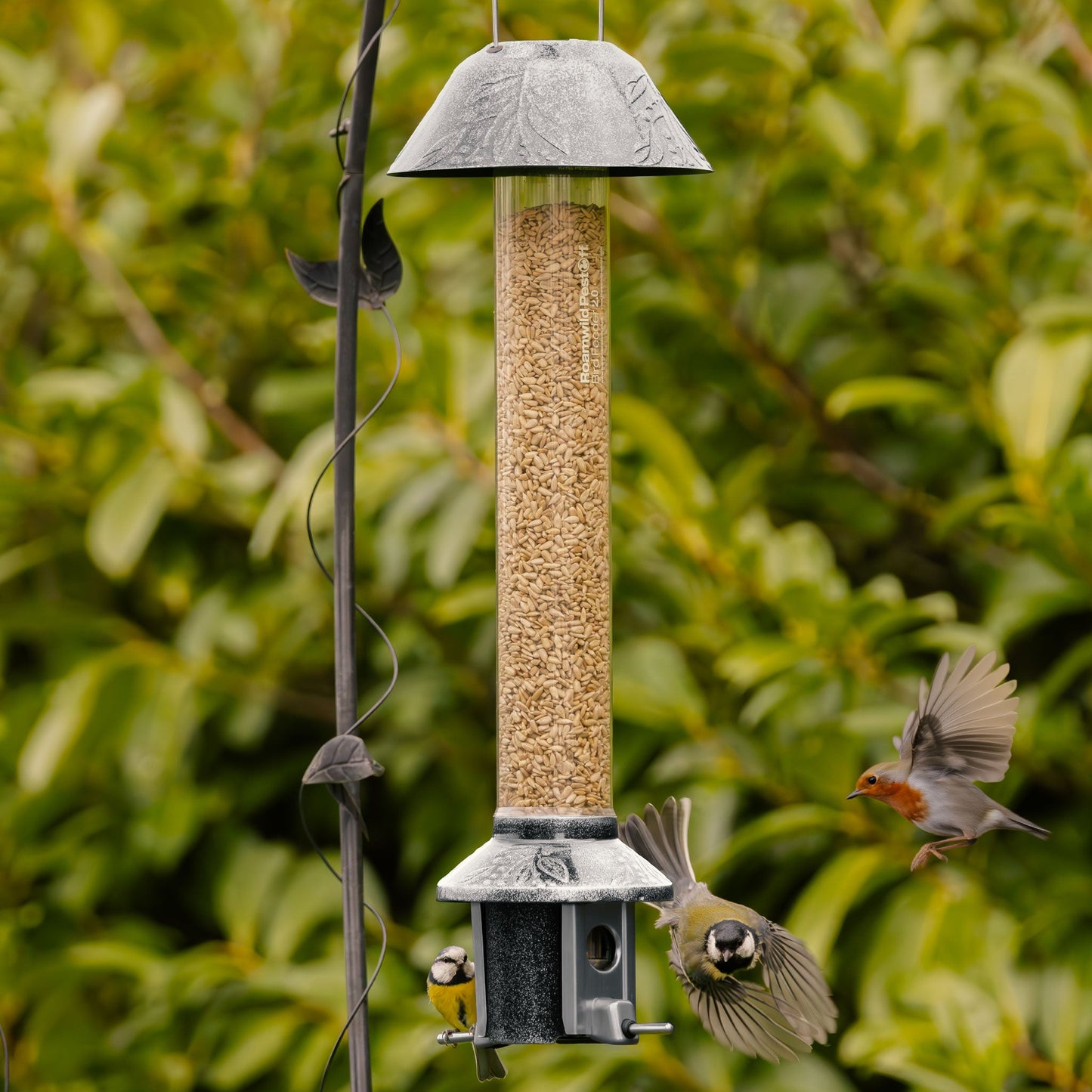 Squirrel Proof Bird Feeder | Metal Hanging Feeder | Weatherproof Seed Feeder