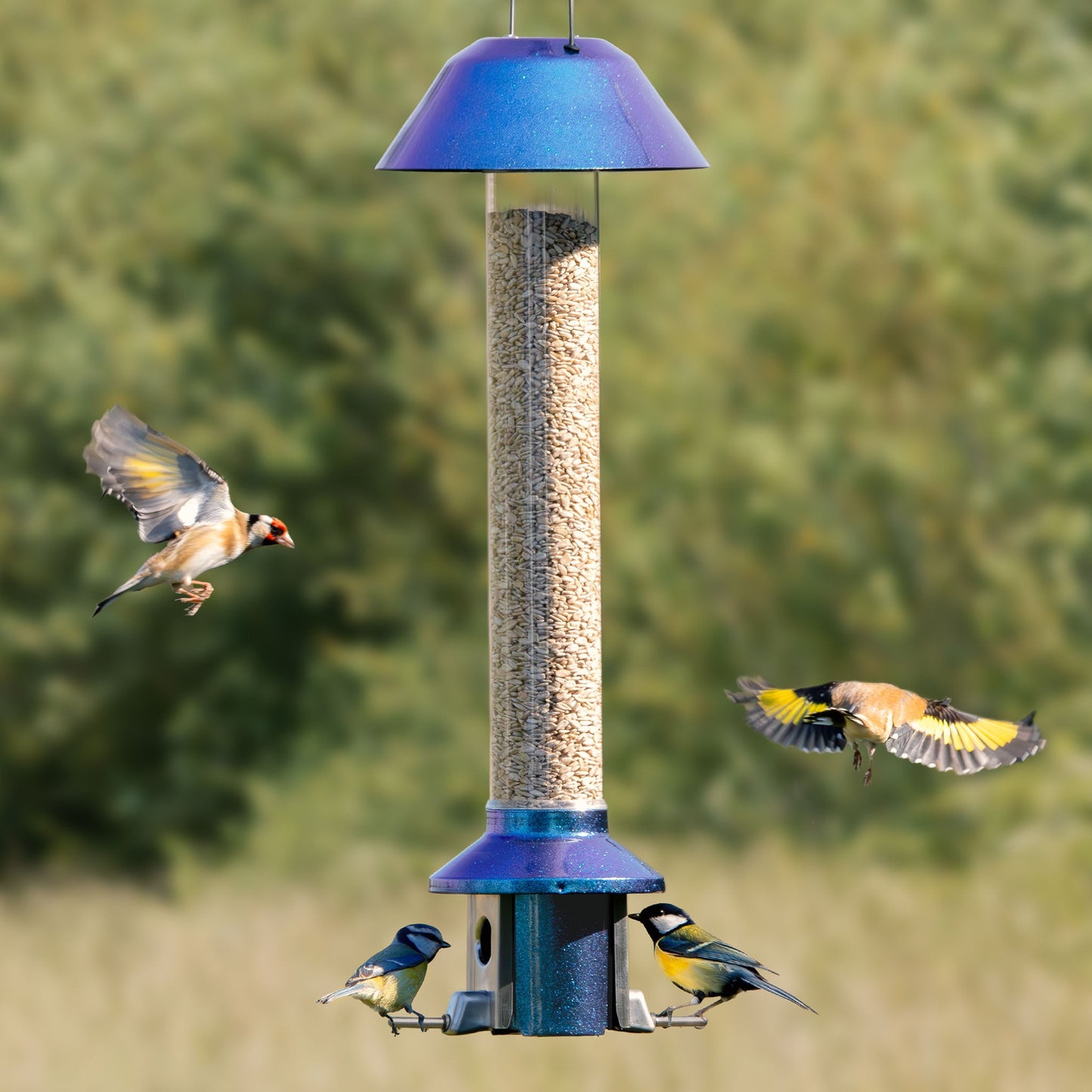 Squirrel Proof Bird Feeder | Metal Hanging Feeder | Weatherproof Seed Feeder