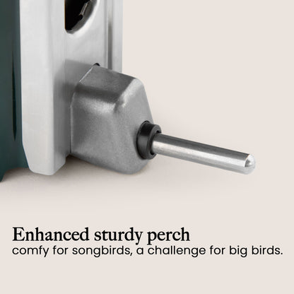 Squirrel Proof Bird Feeder | Metal Hanging Feeder | Weatherproof Seed Feeder