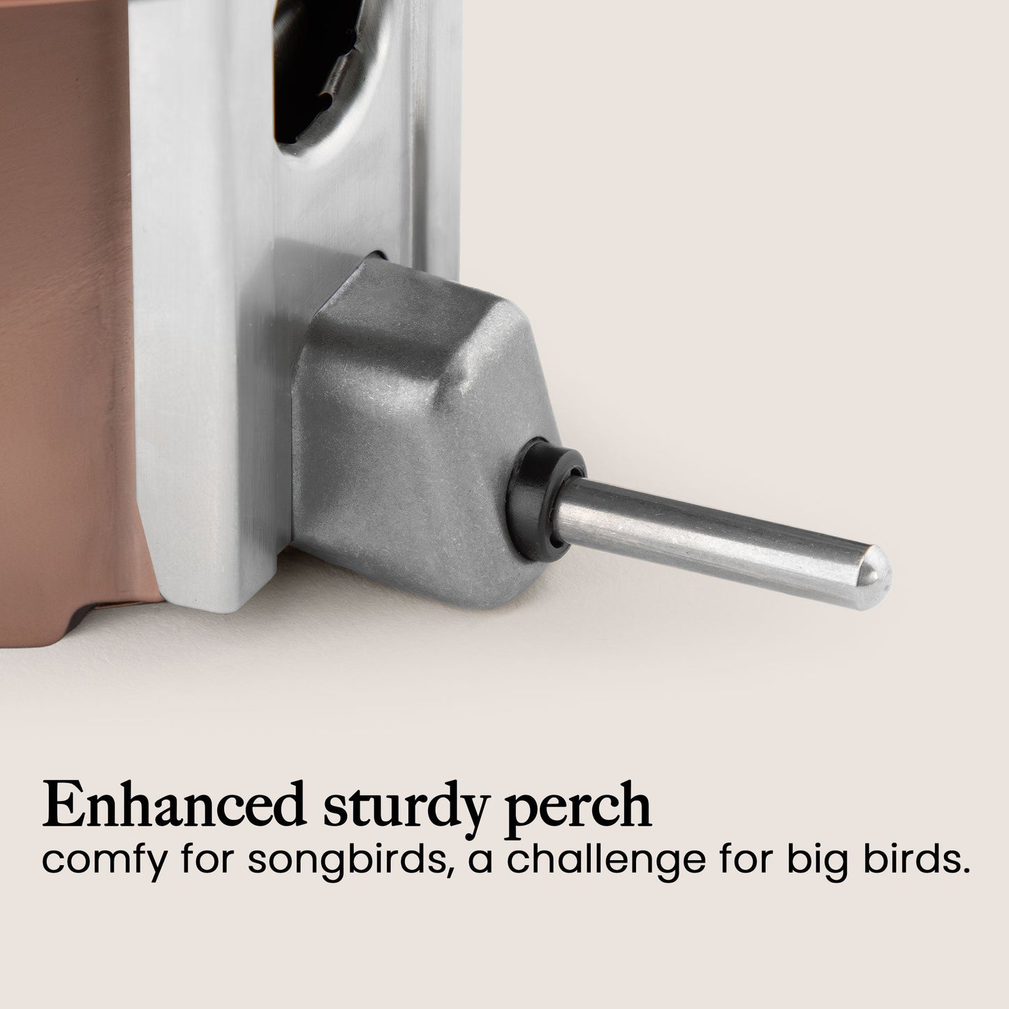 Squirrel Proof Bird Feeder | Metal Hanging Feeder | Weatherproof Seed Feeder