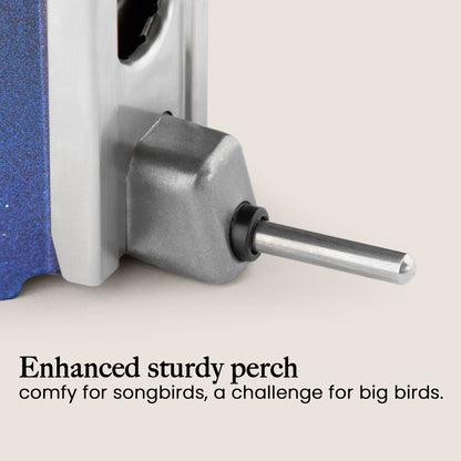 Squirrel Proof Bird Feeder | Metal Hanging Feeder | Weatherproof Seed Feeder