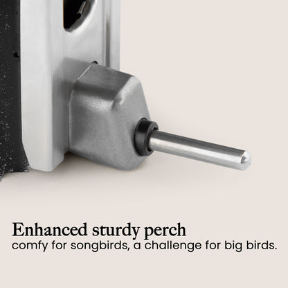 Squirrel Proof Bird Feeder | Metal Hanging Feeder | Weatherproof Seed Feeder