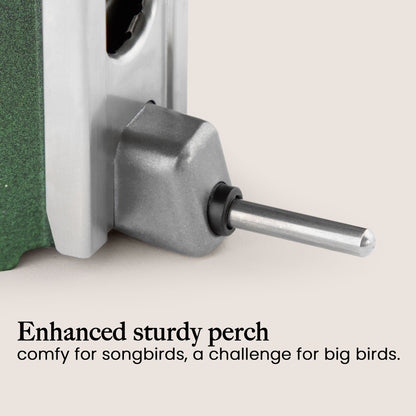 Squirrel Proof Bird Feeder | Metal Hanging Feeder | Weatherproof Seed Feeder