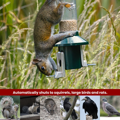 Squirrel Proof Bird Feeder | Metal Hanging Feeder | Weatherproof Seed Feeder