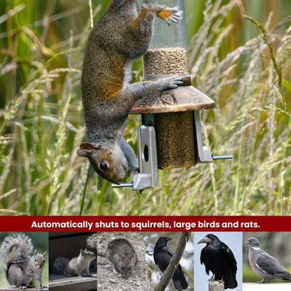 Squirrel Proof Bird Feeder | Metal Hanging Feeder | Weatherproof Seed Feeder