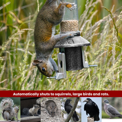 Squirrel Proof Bird Feeder | Metal Hanging Feeder | Weatherproof Seed Feeder