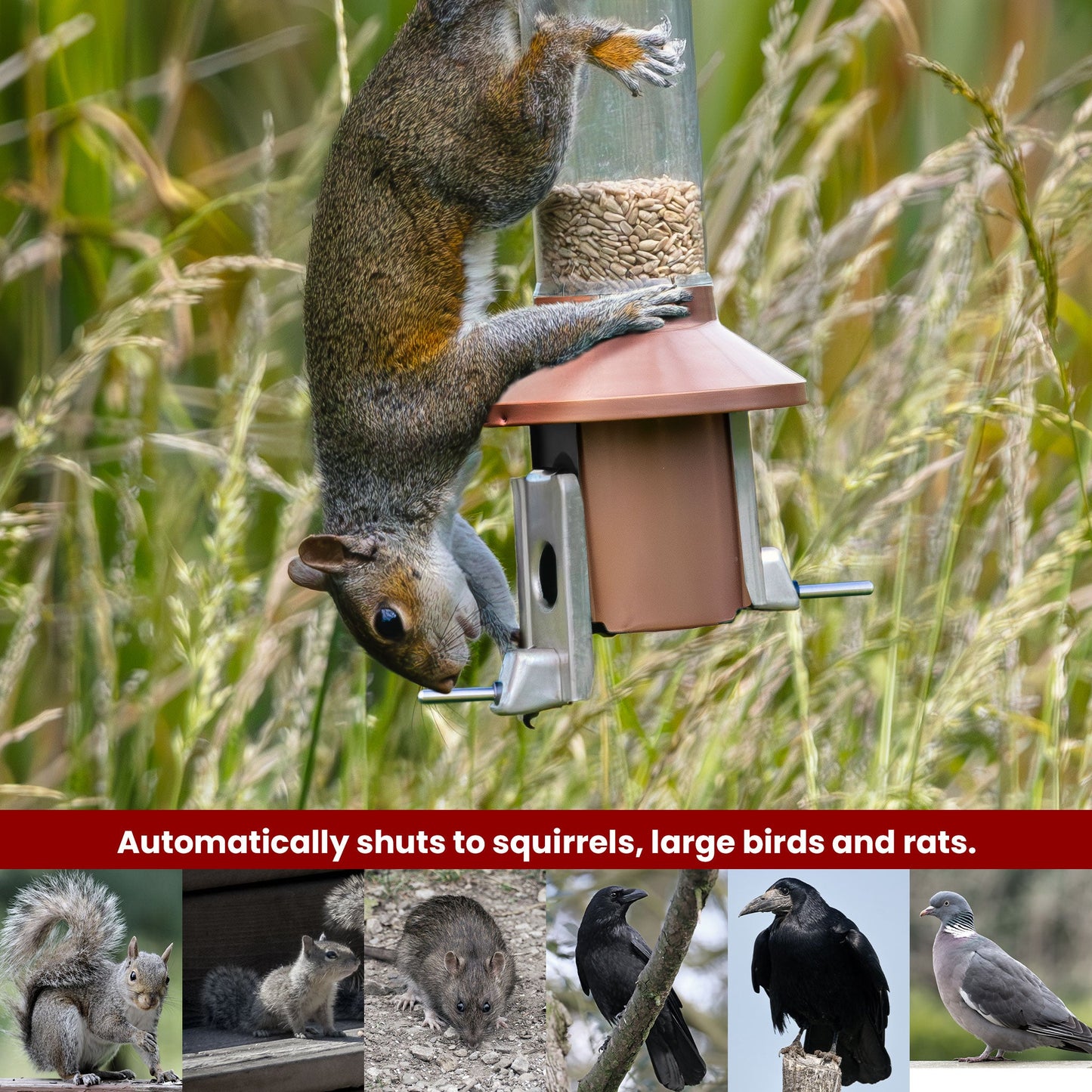 Squirrel Proof Bird Feeder | Metal Hanging Feeder | Weatherproof Seed Feeder
