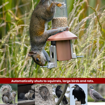 Squirrel Proof Bird Feeder | Metal Hanging Feeder | Weatherproof Seed Feeder
