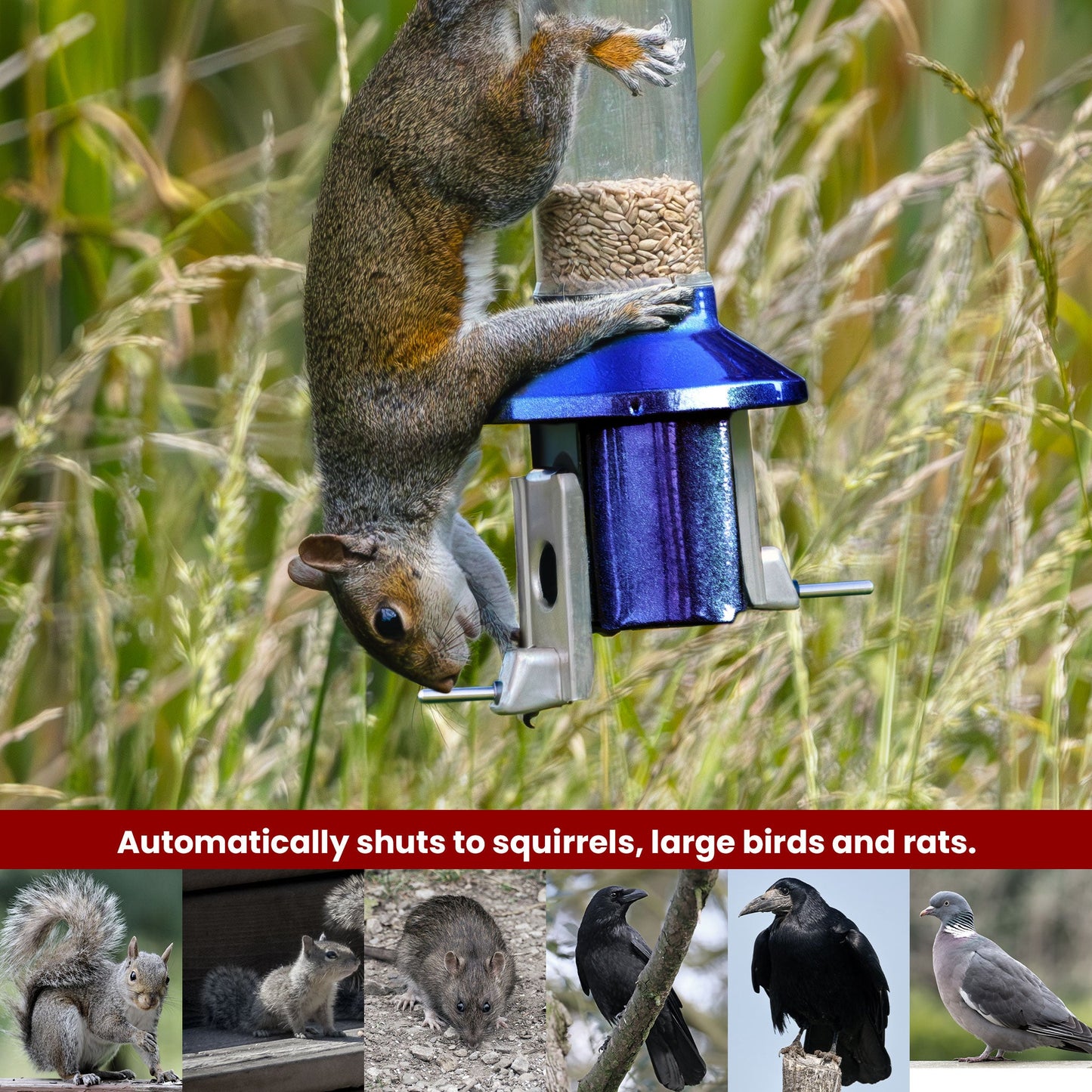 Squirrel Proof Bird Feeder | Metal Hanging Feeder | Weatherproof Seed Feeder