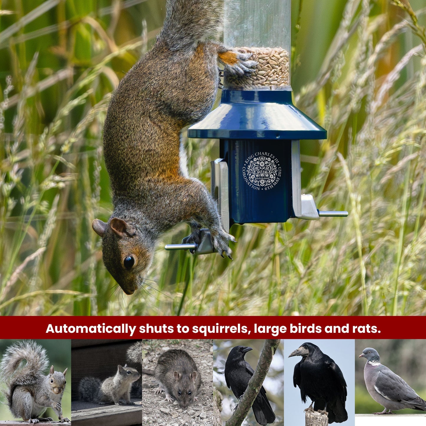 Squirrel Proof Bird Feeder | Metal Hanging Feeder | Weatherproof Seed Feeder