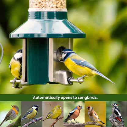 Squirrel Proof Bird Feeder | Metal Hanging Feeder | Weatherproof Seed Feeder