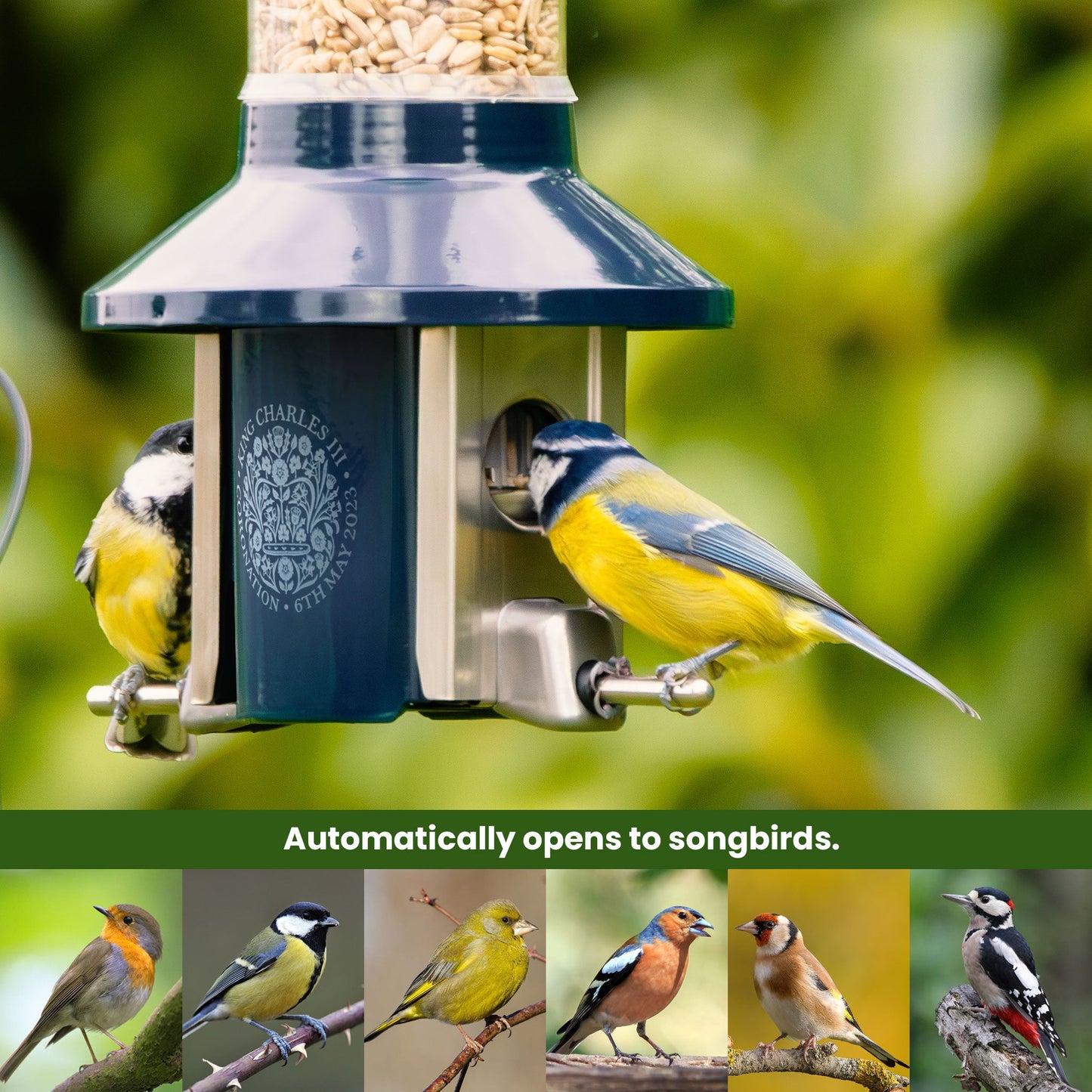 Squirrel Proof Bird Feeder | Metal Hanging Feeder | Weatherproof Seed Feeder