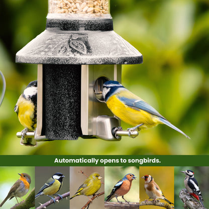 Squirrel Proof Bird Feeder | Metal Hanging Feeder | Weatherproof Seed Feeder