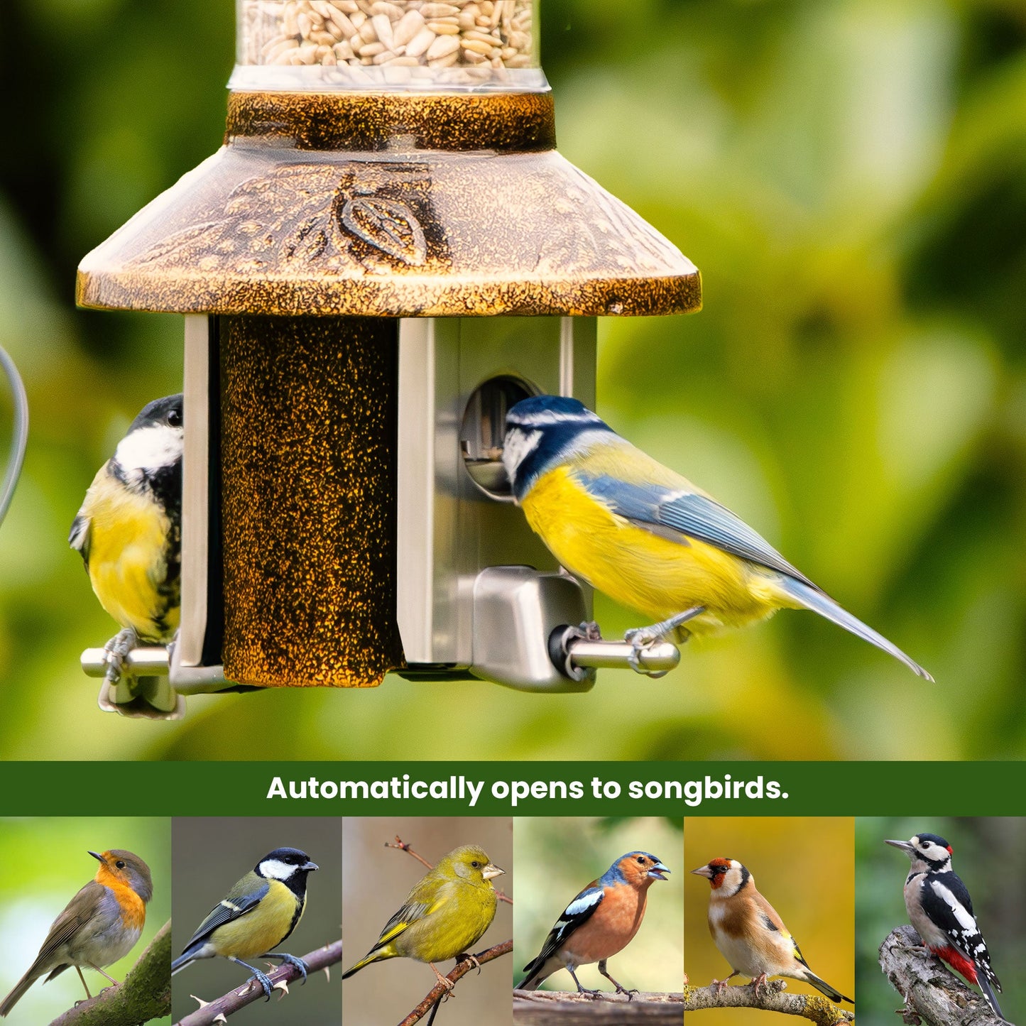 Squirrel Proof Bird Feeder | Metal Hanging Feeder | Weatherproof Seed Feeder