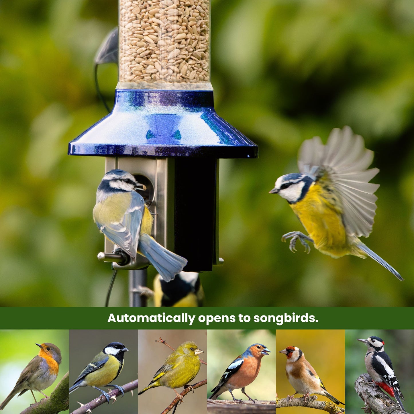 Squirrel Proof Bird Feeder | Metal Hanging Feeder | Weatherproof Seed Feeder