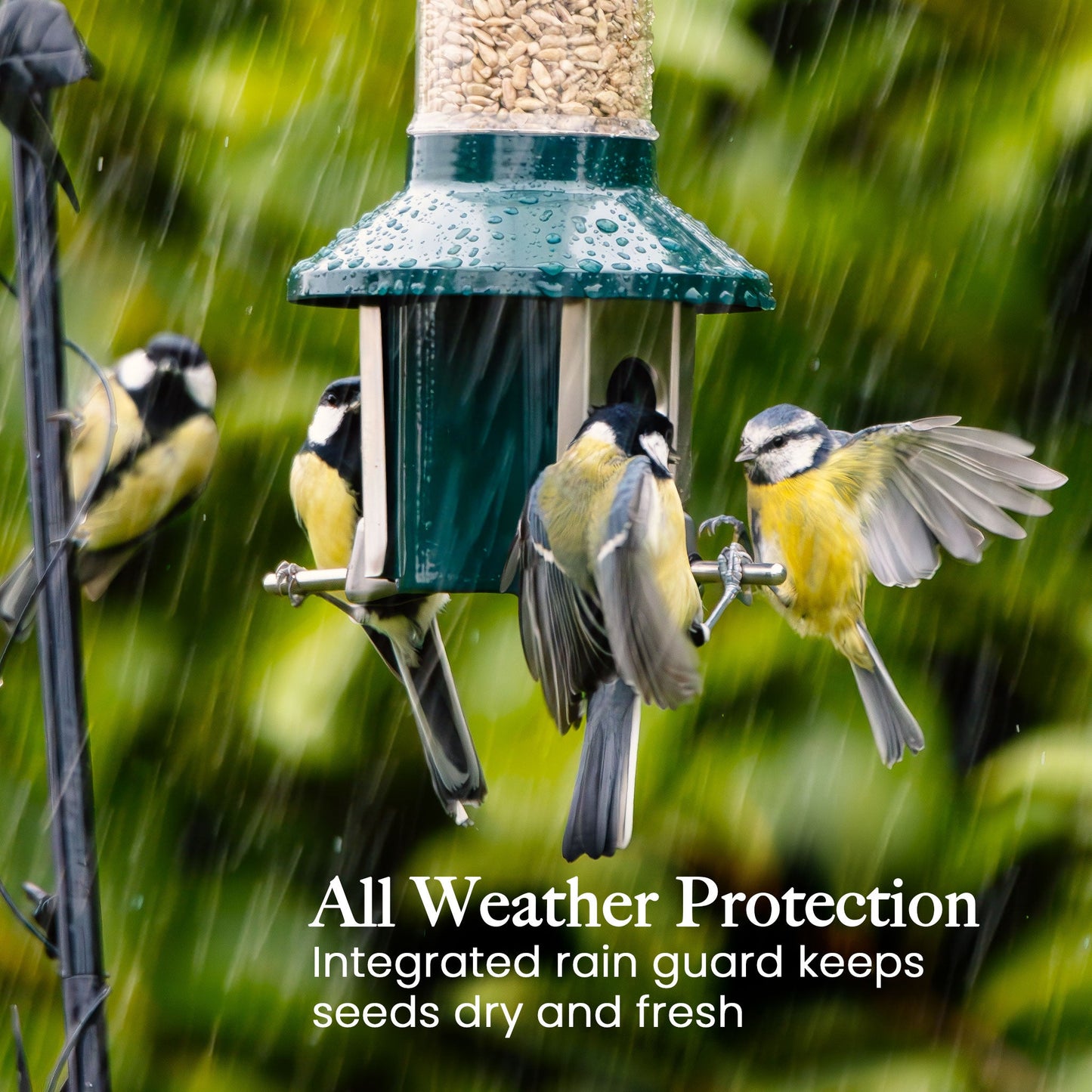 Squirrel Proof Bird Feeder | Metal Hanging Feeder | Weatherproof Seed Feeder