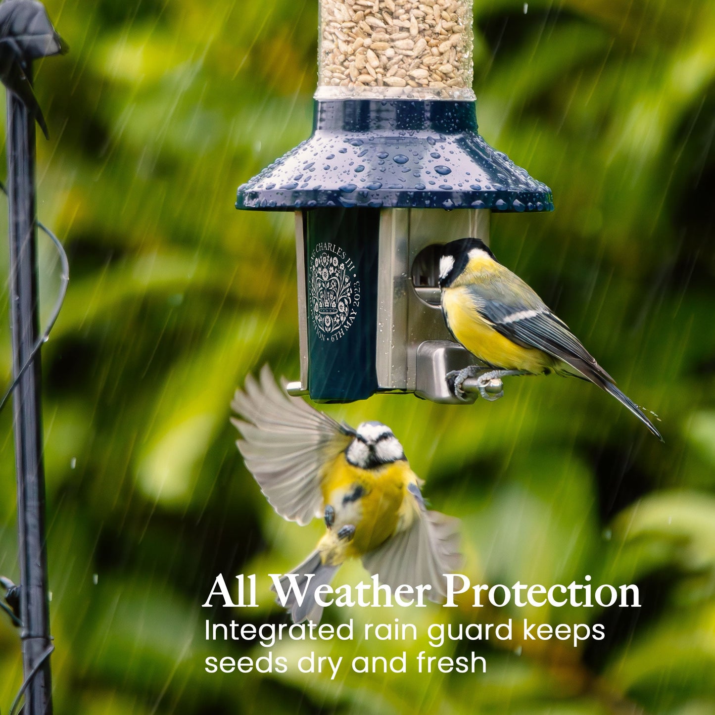 Squirrel Proof Bird Feeder | Metal Hanging Feeder | Weatherproof Seed Feeder