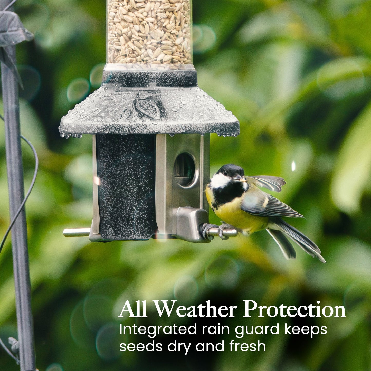 Squirrel Proof Bird Feeder | Metal Hanging Feeder | Weatherproof Seed Feeder