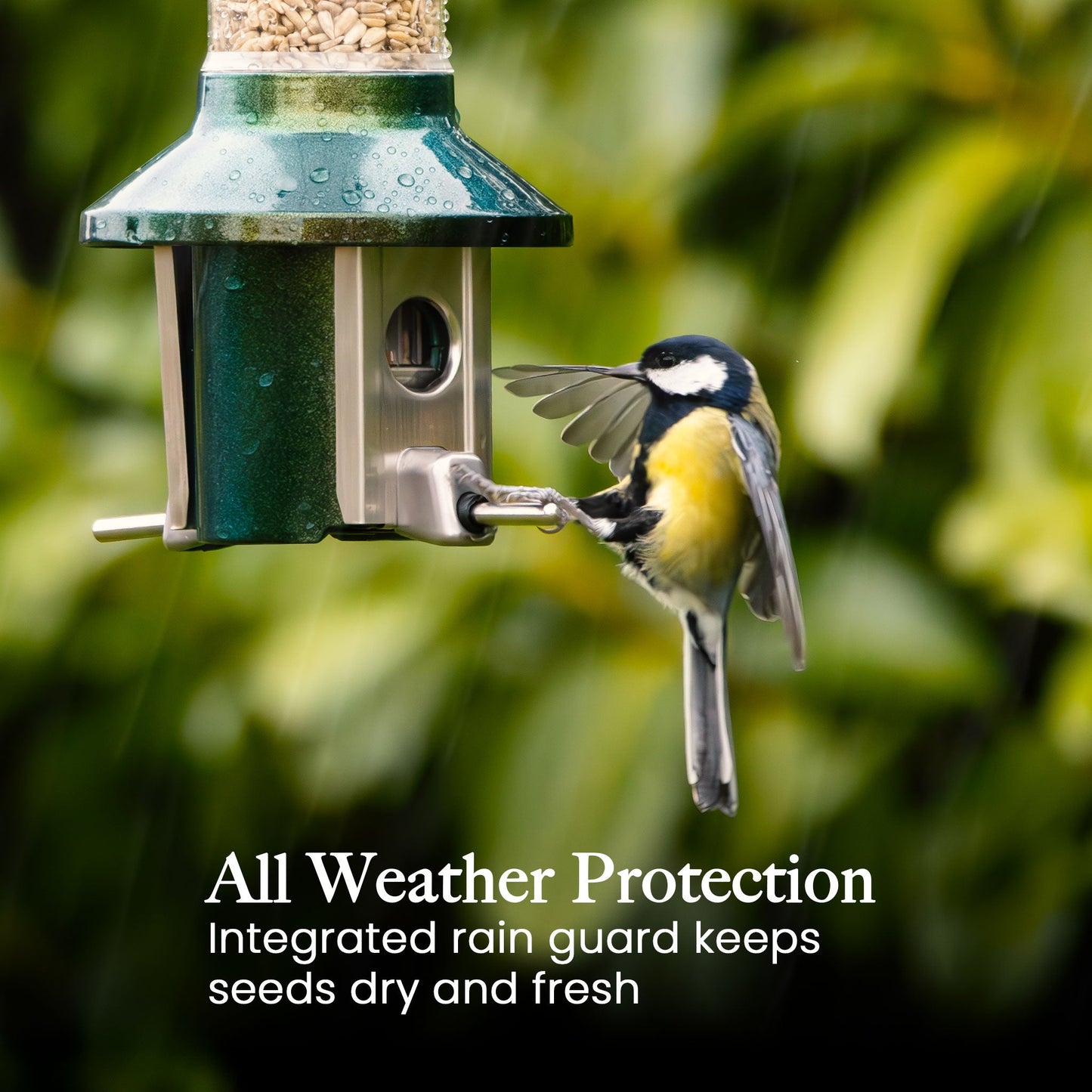 Squirrel Proof Bird Feeder | Metal Hanging Feeder | Weatherproof Seed Feeder