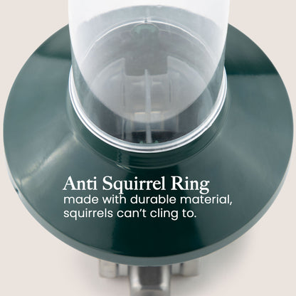 Squirrel Proof Bird Feeder | Metal Hanging Feeder | Weatherproof Seed Feeder